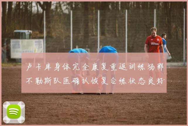 卢卡库身体完全康复重返训练场那不勒斯队医确认恢复合练状态良好